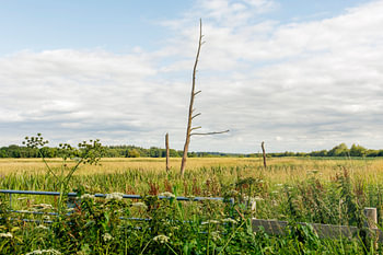 Das Bachtal „De Slokkert“ zwischen Norg und Veenhuizen