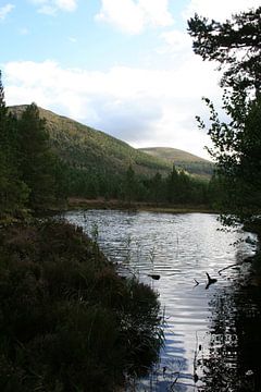 Blick über den Schottensee von Floortje Mink