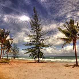 Phu Quoc 'Treelogie' by Ron Meiresonne