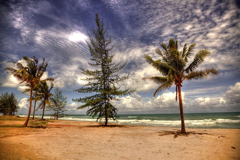 Phu Quoc 'Treelogie' by Ron Meiresonne