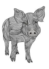 Lines art animal pig by JBJart Justyna Jaszke
