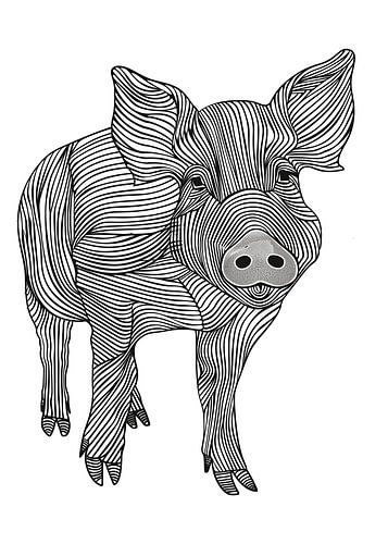 Lijnen kunst dier varken