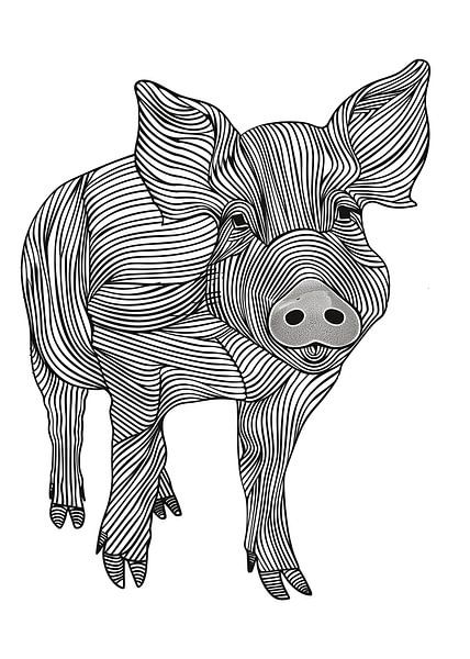 Lines art animal pig by JBJart Justyna Jaszke