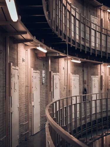 The Dome 6 by OK-ART