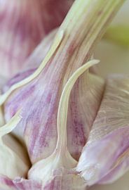 Knoblauch von Nicky Schouten