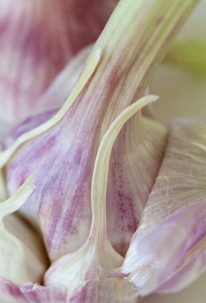 Garlic by Nicky Schouten
