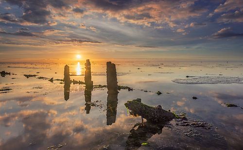 Tegenlicht op het Wad nabij Wierum