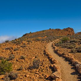 Bergpad in Teide Nationaal Park, Tenerife van Kristof Lauwers