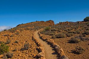 Bergwanderweg im Teide-Nationalpark, Teneriffa