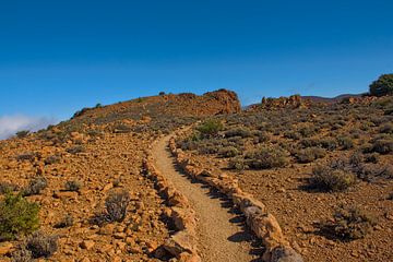Bergpad in Teide Nationaal Park, Tenerife van Kristof Lauwers