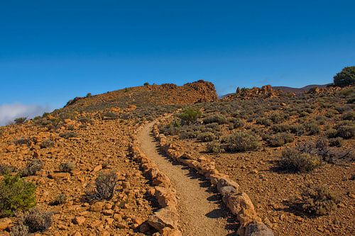 Bergpad in Teide Nationaal Park, Tenerife van Kristof Lauwers