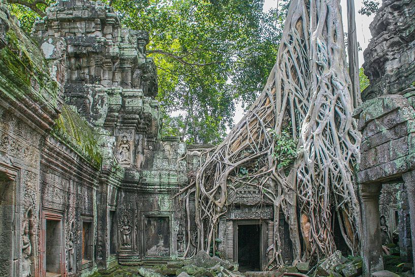 Nature Prend au Cambodge par Erwin Blekkenhorst
