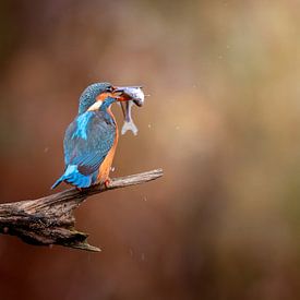 Hab ich dich!!! von Costas Ganasos