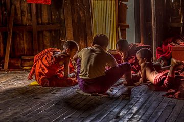Jonge beginnende boeddhistische monniken spelen kaart in hun klooster van Erik Verbeeck