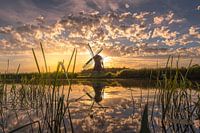 The Tjongermolen in Friesland, Mildam