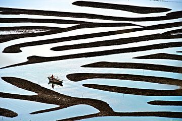 Labyrint, Lina Gunawan