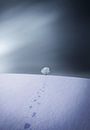 Winter van Bess Hamiti thumbnail