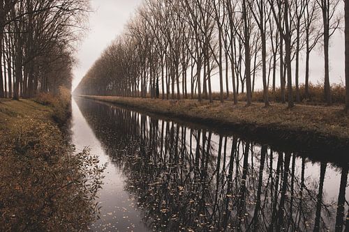 Prachtig Schipdonkkanaal in de herfst
