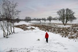 Snow Walk in the Zeepeduinen by Paula Romein