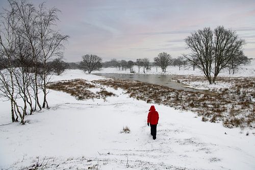 Schneewanderung in den Zeepeduinen
