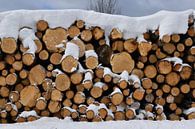 A cord of wood in winter by Claude Laprise thumbnail