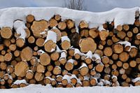 A cord of wood in winter