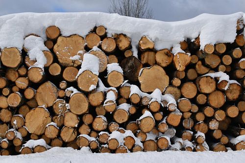 Een koord van hout in de winter