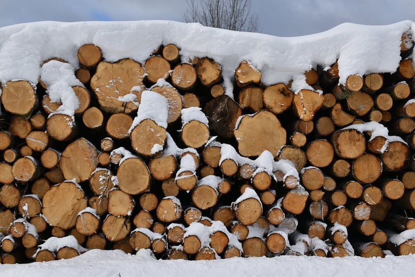 A cord of wood in winter by Claude Laprise