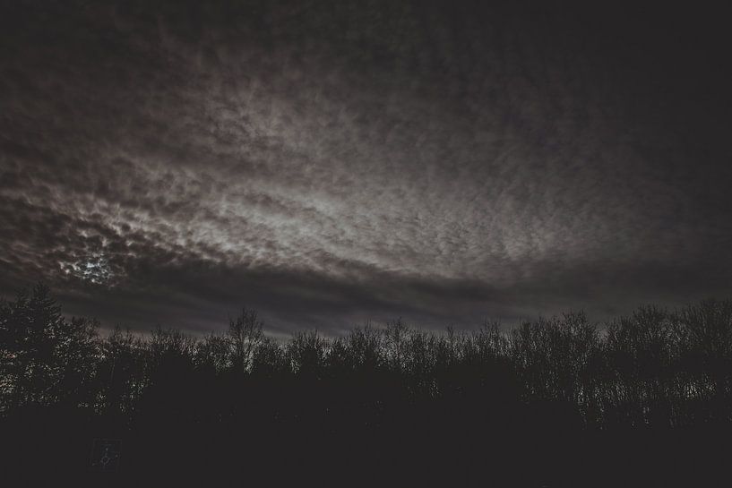 dark clouds over the forest by it's a Boone thing