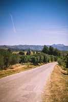 Inviting Provence