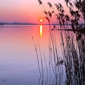 Le calme au bord du lac – Un coucher de soleil aux couleurs douces sur Eric Nagel