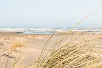 Imaginez-vous sur la plage tous les jours