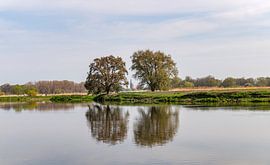 Tangermünde Saxony Anhalt by Richard Wareham