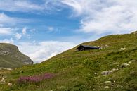 Zwitserse berghut van Sander de Jong thumbnail