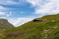 Swiss mountain hut