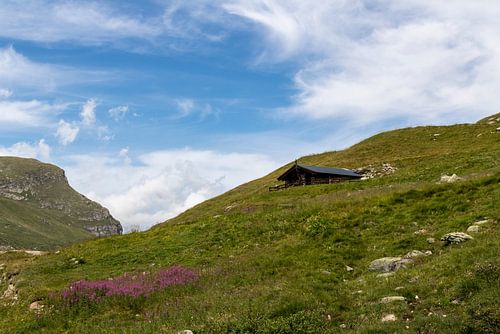 Zwitserse berghut