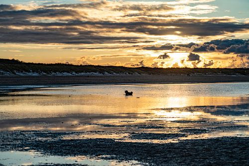 Zonsondergang op de waddenzee