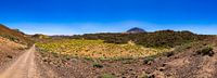 Chemin du Teide