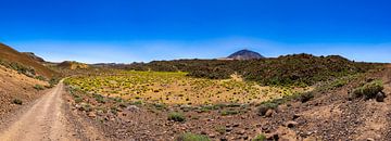 Weg nach Teide von Emel Malms