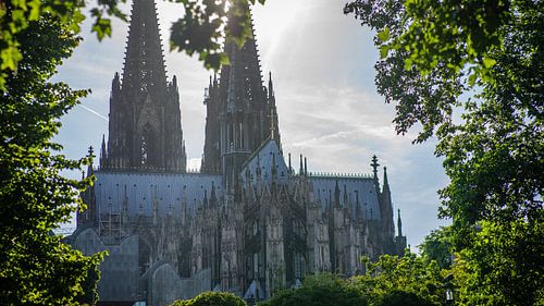Der Kölner Dom zwischen den Bäumen im Park