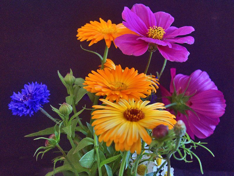 Bouquet de fleurs 4 par Edgar Schermaul