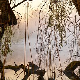 Nootdorp Seen 1 von Cobi de Jong