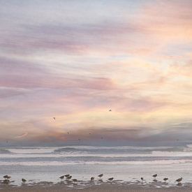 Vogels op het strand bij de zee / zonsondergang van Photography art by Sacha
