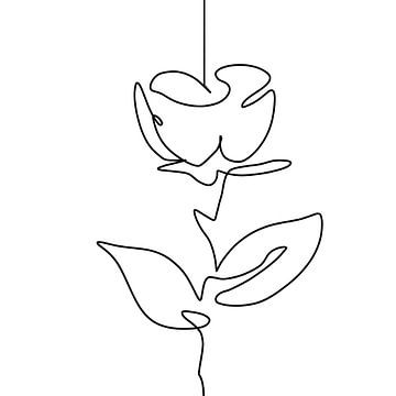 Roos illustratie van een bloem getekend in één doorgetrokken lijn van Emiel de Lange
