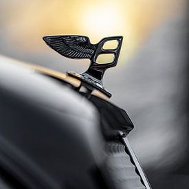Bentley-Sonne von Otof Fotografie