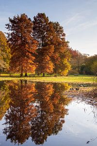 Herfst reflectie van Bas Rutgers