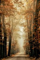 Delightfall