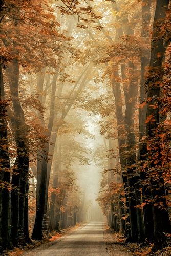 Delightfall