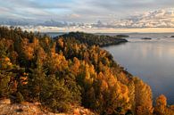 Zweedse herfst van Mark Leeman thumbnail