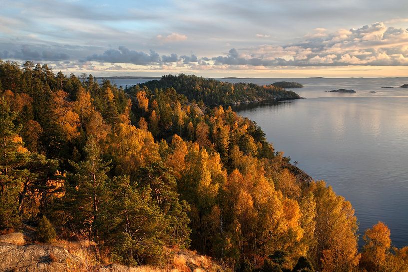 Schwedischer Herbst von Mark Leeman